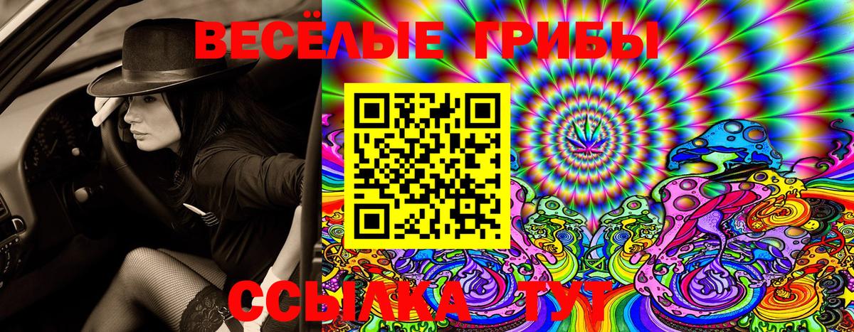 Псилоцибиновые грибы прущие грибы  Псилоцибиновые грибы Psilocybine cubensis  Вход с VPN  Елец 